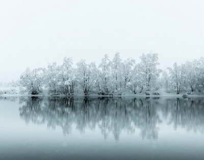 Xocalı soyqırımına həsr olunmuş elektron resurslar istifadəyə verilib