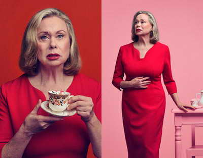 Президенттик мандатты конституциялык өзгөрүүлөр шартында колдонуу боюнча эксперттик пикир