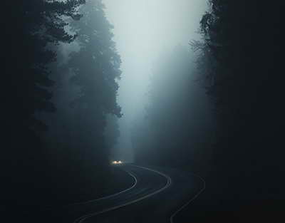 Balashixadagi migrantlarga qarshi reydda 49 kishi qo‘lga olindi