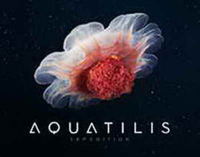 Колумбиядағы әуе апаты: әскери ұшақ құлап, 66 адам қаза тапты