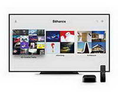 На чужой каравай рот не разевай: китайский завод в Жетысу оштрафовали на 264 млн тенге