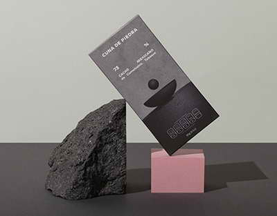 Саясат Нұрбек президентке жаңа Конституцияның білім мен ғылым саласындағы әлеуеті жайында баяндады